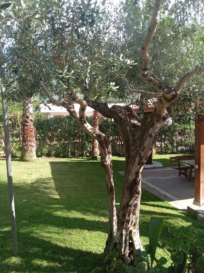 Villa Agata Forchia ภายนอก รูปภาพ