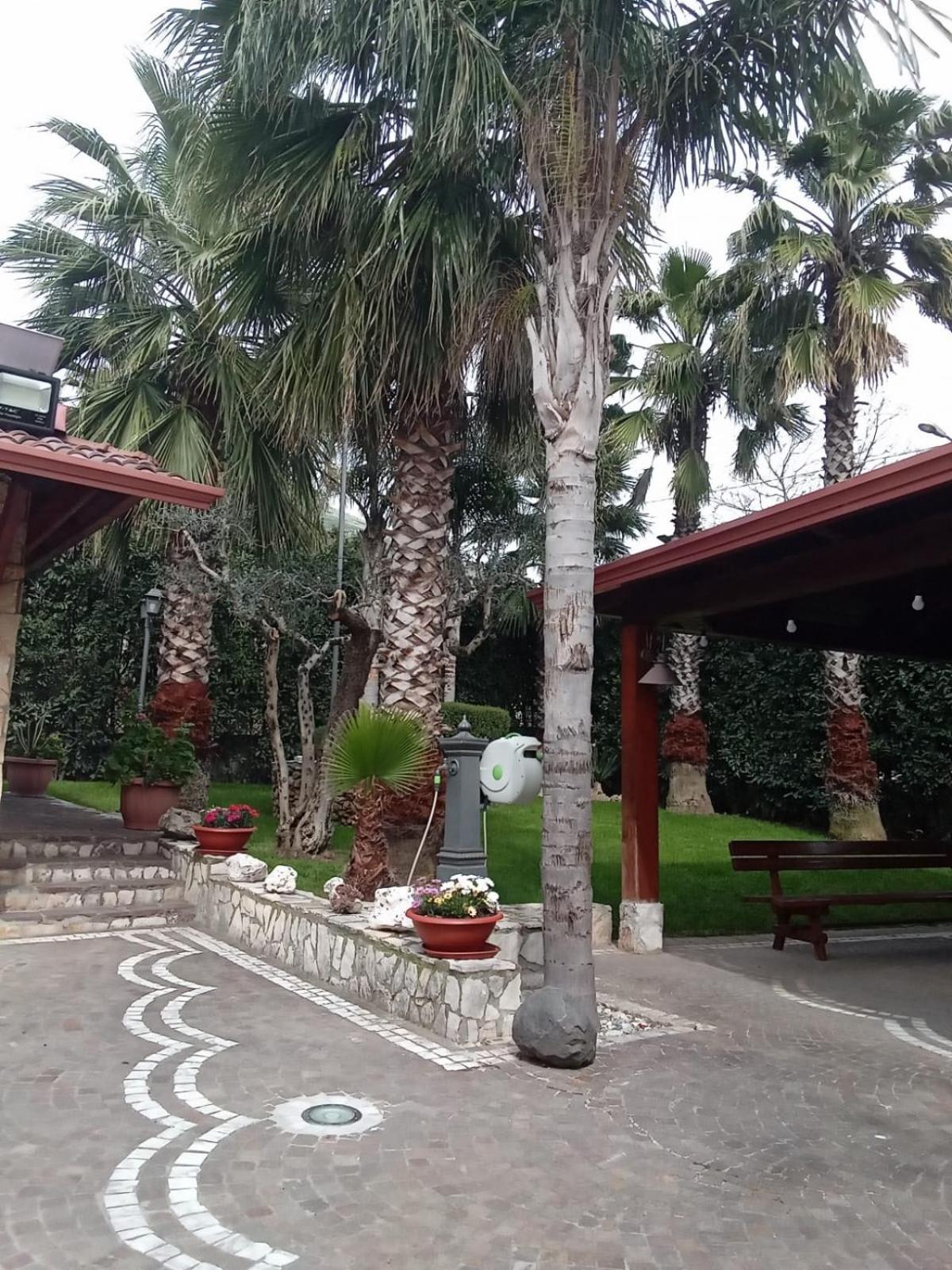 Villa Agata Forchia ภายนอก รูปภาพ