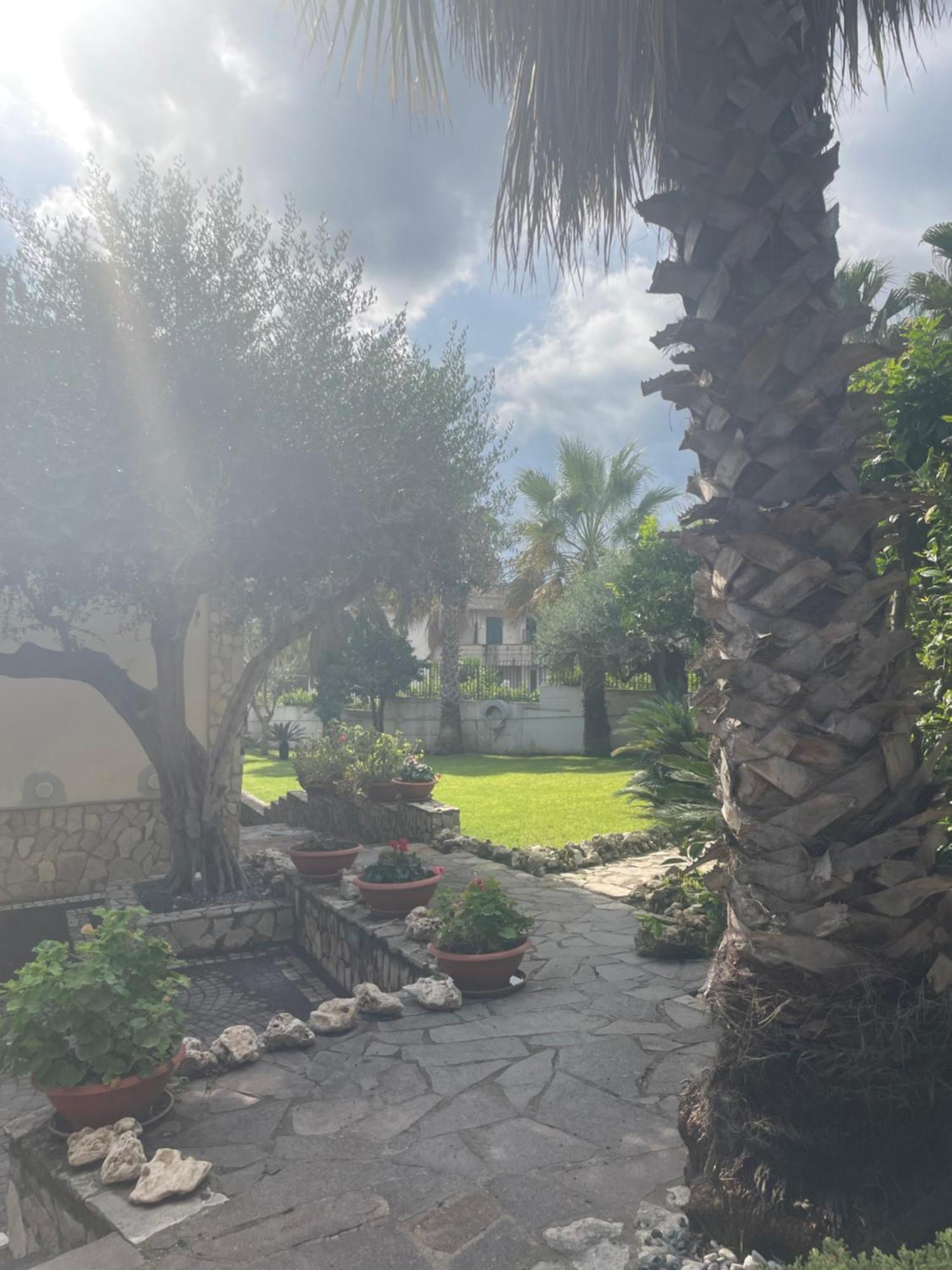 Villa Agata Forchia ภายนอก รูปภาพ
